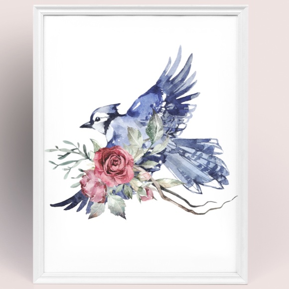 Watercolor Wall Art Blue Jay Illustration Print Poster Unframed - Picture 11 of 17